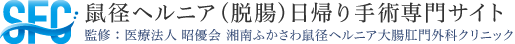 鼠径ヘルニア(脱腸)日帰り手術専門サイト